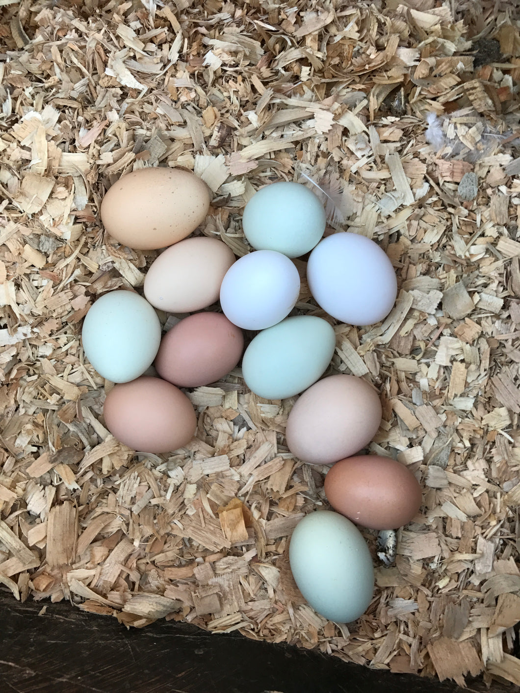 Pastured Eggs